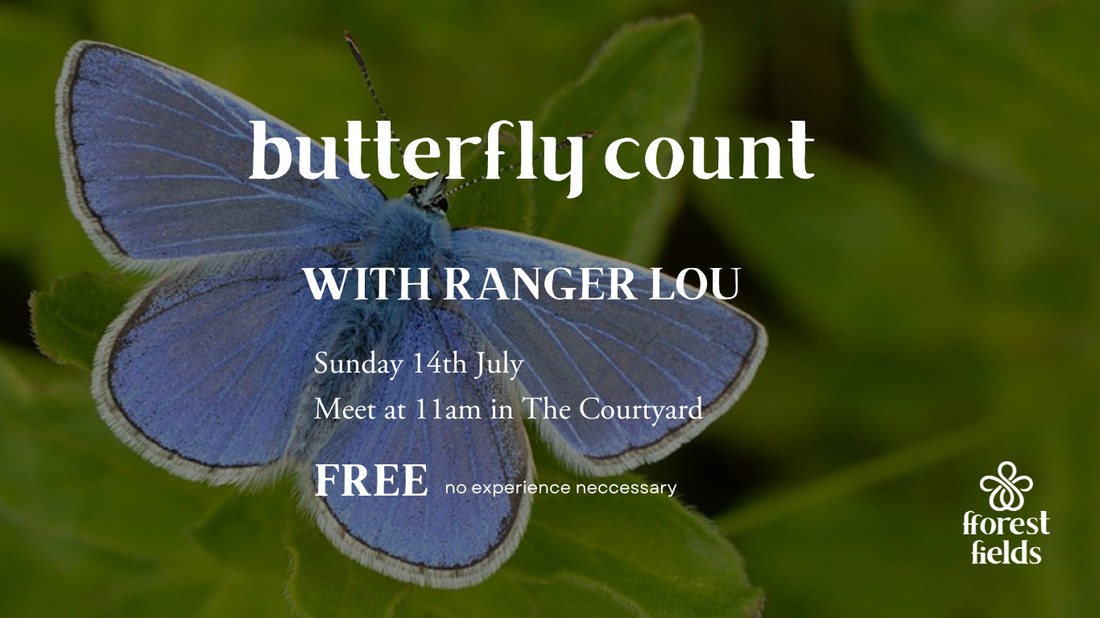 Butterfly Count - 14th July